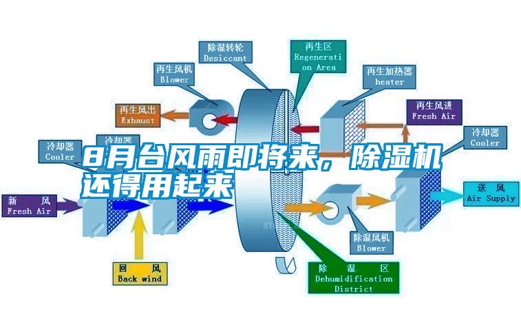 8月臺風雨即將來，除濕機還得用起來