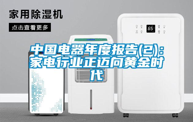 中國電器年度報告(2)：家電行業正邁向黃金時代