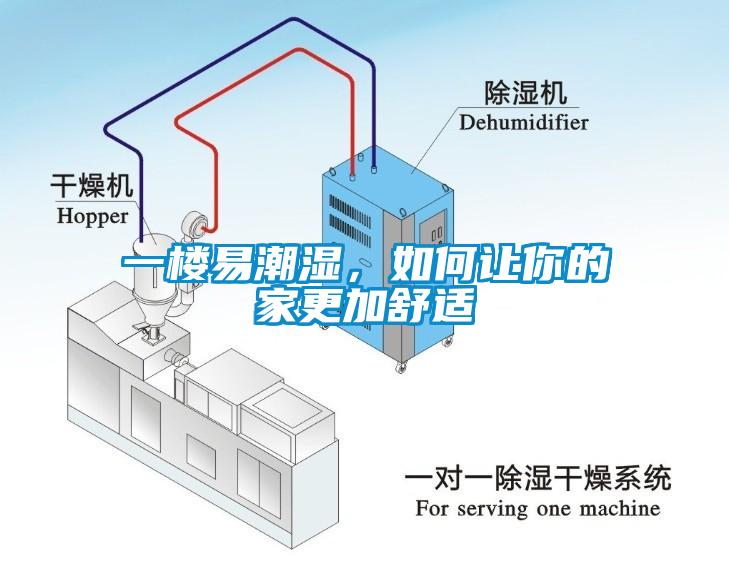 一樓易潮濕，如何讓你的家更加舒適