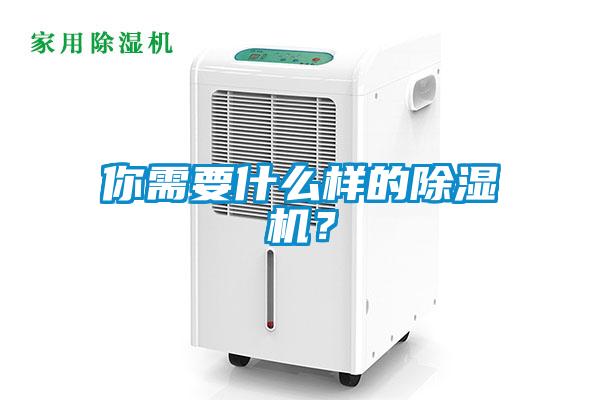 你需要什么樣的除濕機？