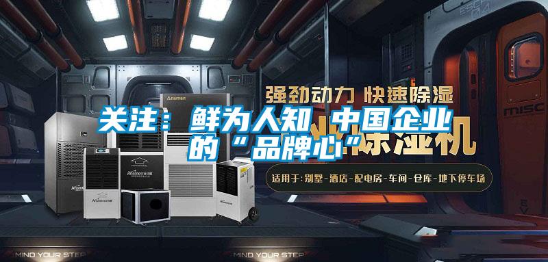 關注：鮮為人知 中國企業的“品牌心”