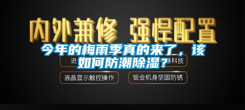 今年的梅雨季真的來了，該如何防潮除濕？