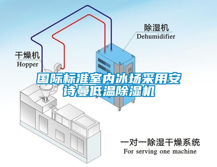 國際標準室內冰場采用安詩曼低溫除濕機