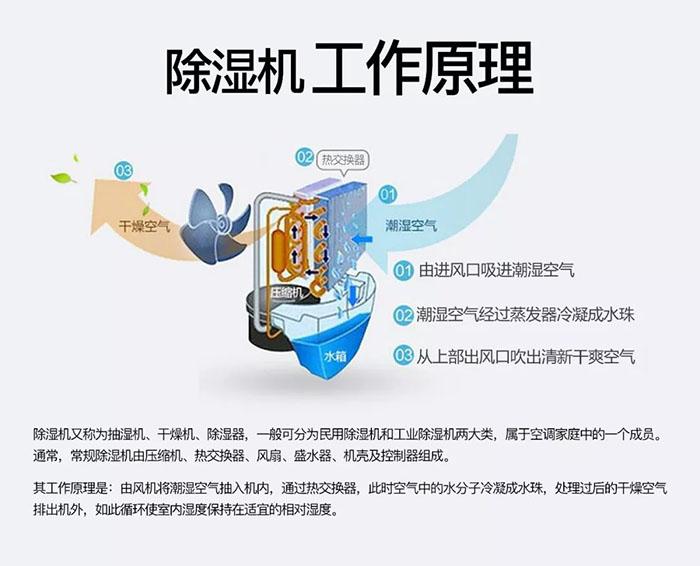 冷庫消毒用什么好？冷庫霧化消毒機