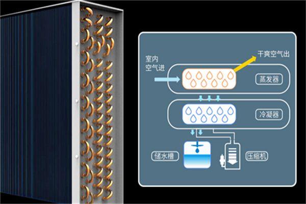 冷庫消毒用什么好？冷庫霧化消毒機