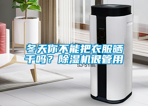 冬天你不能把衣服曬干嗎？除濕機很管用