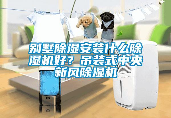 別墅除濕安裝什么除濕機(jī)好？吊裝式中央新風(fēng)除濕機(jī)