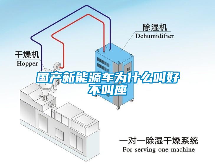 國產(chǎn)新能源車為什么叫好不叫座