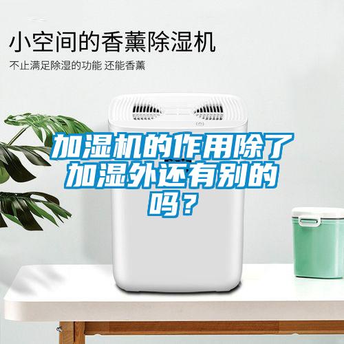 加濕機的作用除了加濕外還有別的嗎？