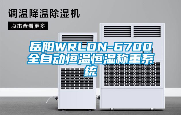 岳陽WRLDN-6700全自動恒溫恒濕稱重系統