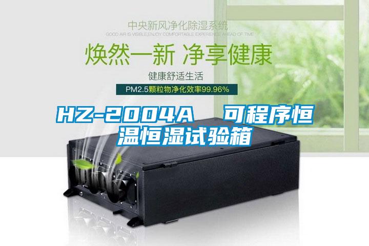 HZ-2004A  可程序恒溫恒濕試驗箱