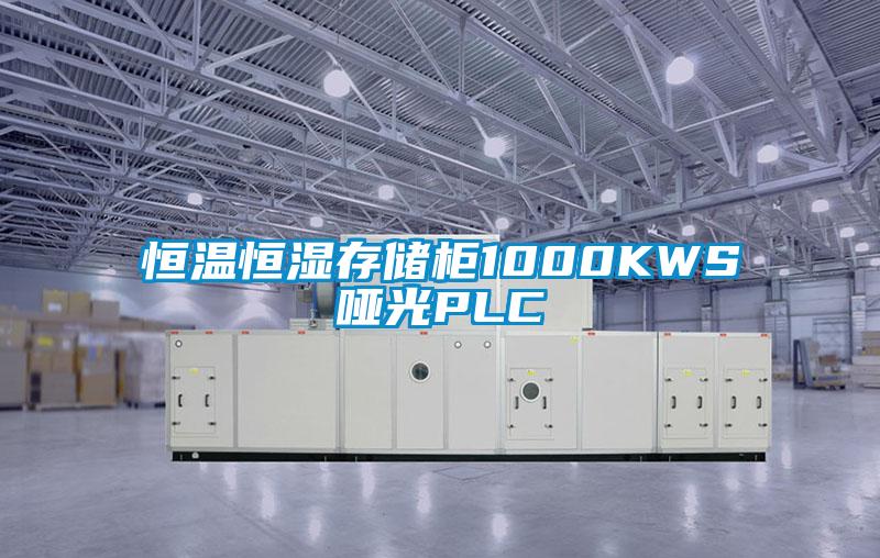 恒溫恒濕存儲柜1000KWS啞光PLC