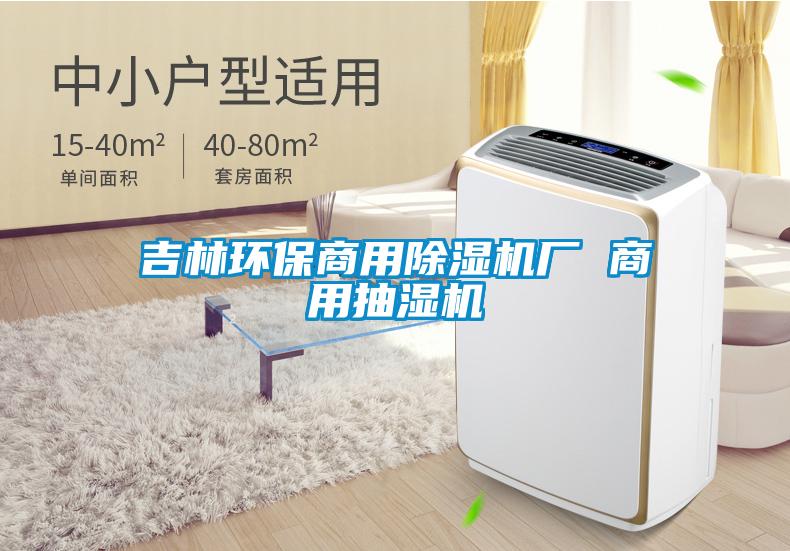 吉林環(huán)保商用除濕機(jī)廠 商用抽濕機(jī)