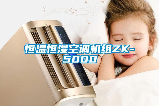 恒溫恒濕空調機組ZK-5000