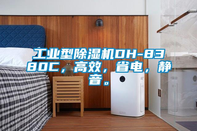 工業型除濕機DH-8380C，高效，省電，靜音。