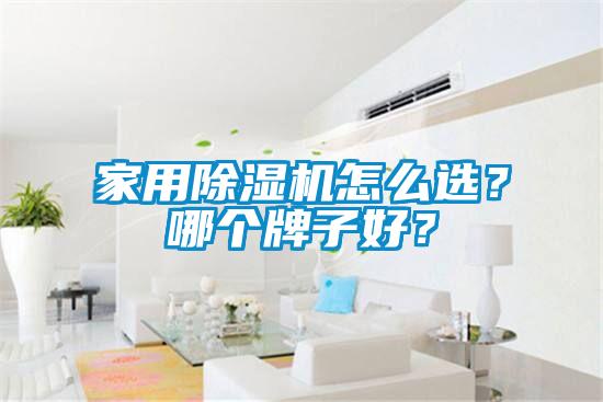 家用除濕機(jī)怎么選？哪個牌子好？