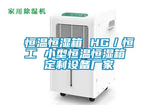 恒溫恒濕箱 HG／恒工 小型恒溫恒濕箱 定制設(shè)備廠家