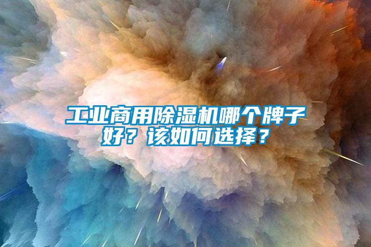 工業商用除濕機哪個牌子好？該如何選擇？