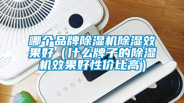 哪個品牌除濕機除濕效果好（什么牌子的除濕機效果好性價比高）