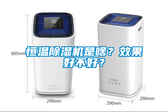 恒溫除濕機是啥？效果好不好？