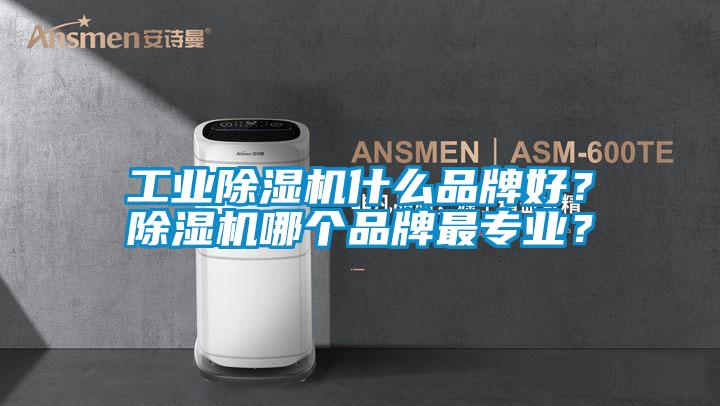 工業除濕機什么品牌好？除濕機哪個品牌最專業？