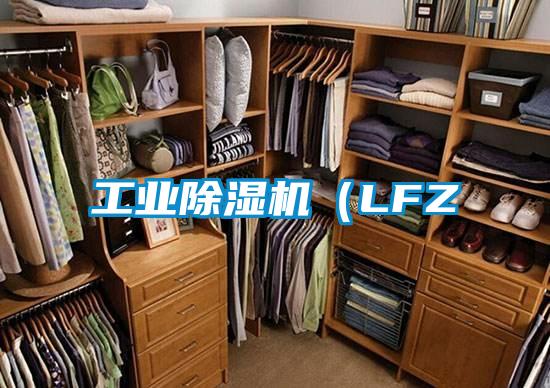 工業除濕機（LFZ