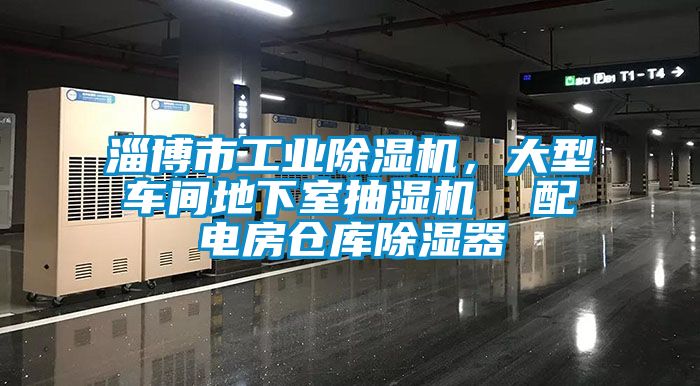 淄博市工業除濕機，大型車間地下室抽濕機  配電房倉庫除濕器