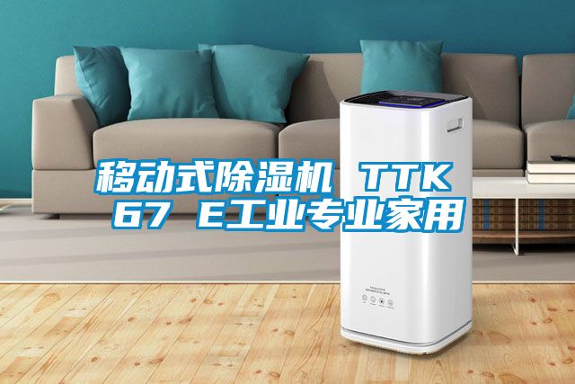 移動式除濕機 TTK 67 E工業(yè)專業(yè)家用