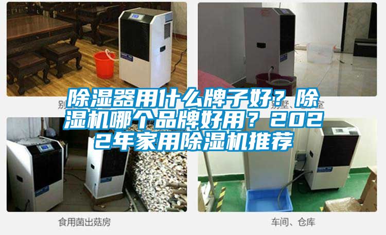 除濕器用什么牌子好？除濕機哪個品牌好用？2022年家用除濕機推薦