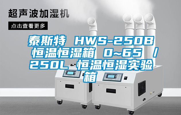 泰斯特 HWS-250B 恒溫恒濕箱 0~65℃／250L 恒溫恒濕實(shí)驗(yàn)箱