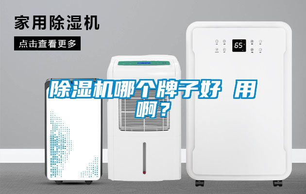 除濕機哪個牌子好 用啊？