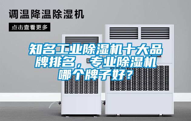 知名工業除濕機十大品牌排名，專業除濕機哪個牌子好？