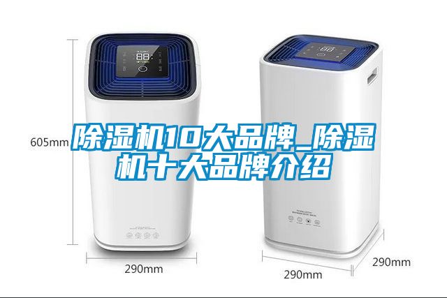 除濕機(jī)10大品牌_除濕機(jī)十大品牌介紹