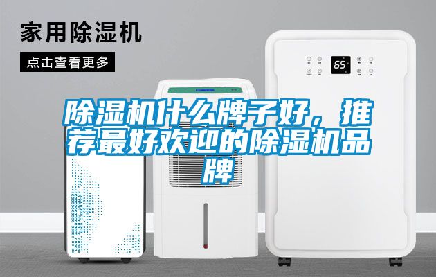 除濕機什么牌子好，推薦最好歡迎的除濕機品牌