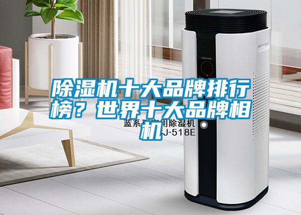 除濕機(jī)十大品牌排行榜？世界十大品牌相機(jī)