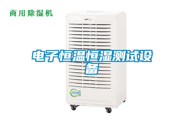 電子恒溫恒濕測試設備