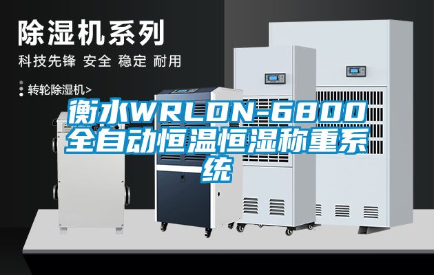 衡水WRLDN-6800全自動恒溫恒濕稱重系統