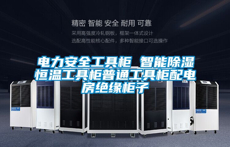 電力安全工具柜 智能除濕恒溫工具柜普通工具柜配電房絕緣柜子