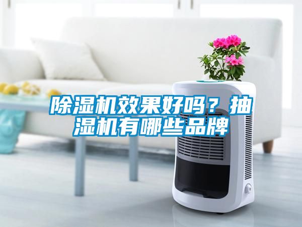 除濕機效果好嗎？抽濕機有哪些品牌