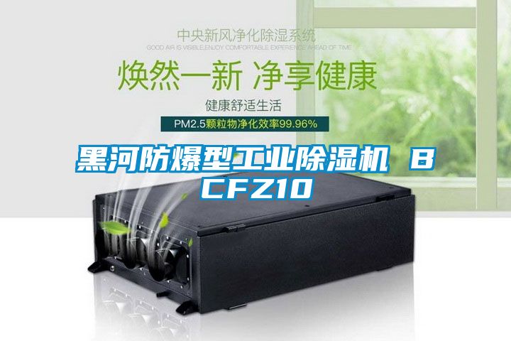 黑河防爆型工業除濕機 BCFZ10